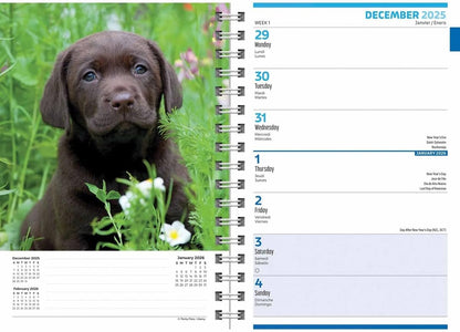 Carousel Worldwide, Puppies 2026 Engagement Diary Planner