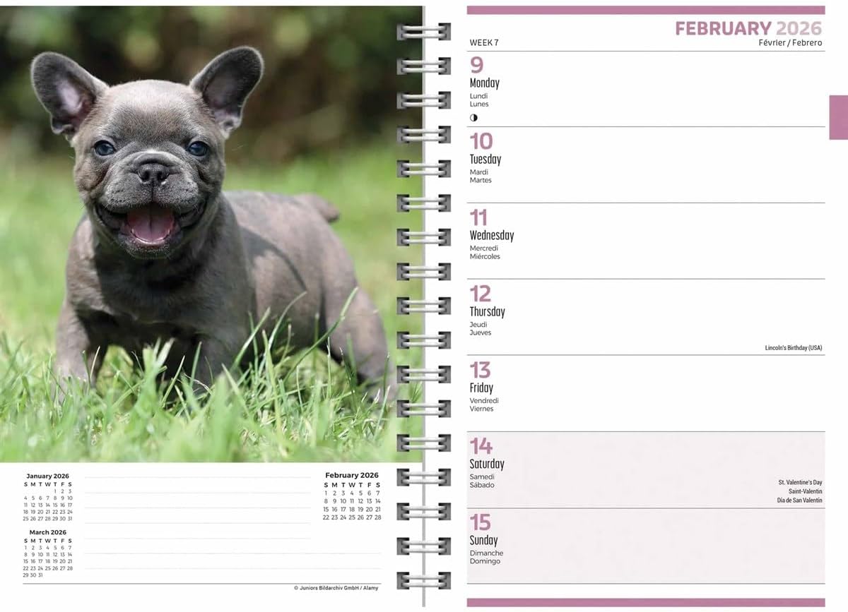 Carousel Worldwide, Puppies 2026 Engagement Diary Planner