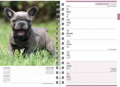 Carousel Worldwide, Puppies 2026 Engagement Diary Planner