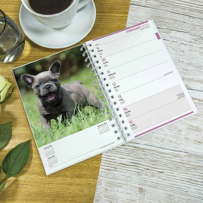 Carousel Worldwide, Puppies 2026 Engagement Diary Planner