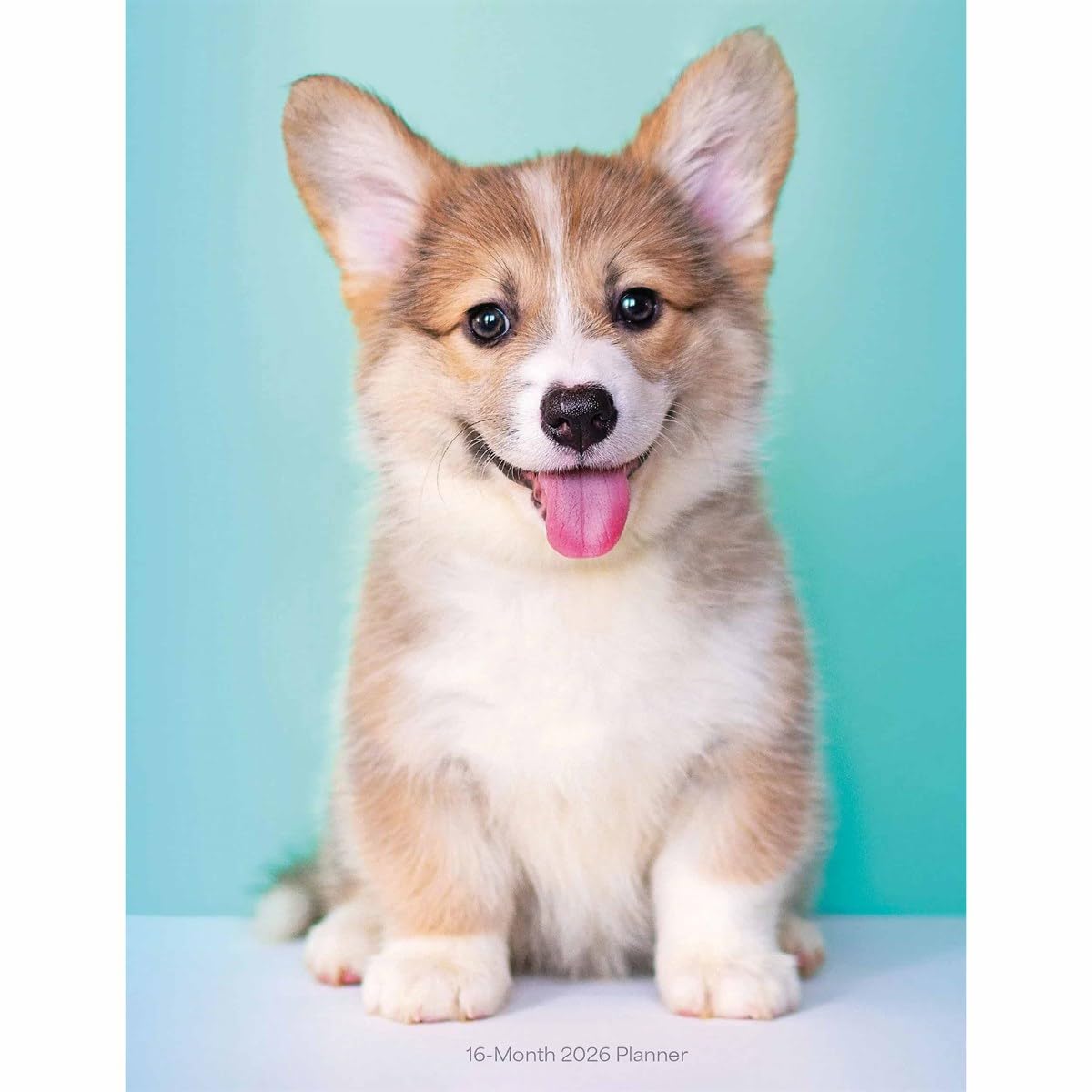 Carousel Worldwide, Puppies 2026 Engagement Diary Planner