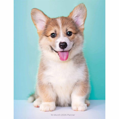 Carousel Worldwide, Puppies 2026 Engagement Diary Planner