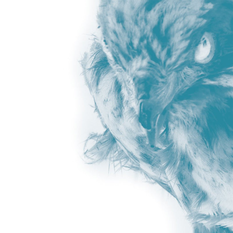 Ice