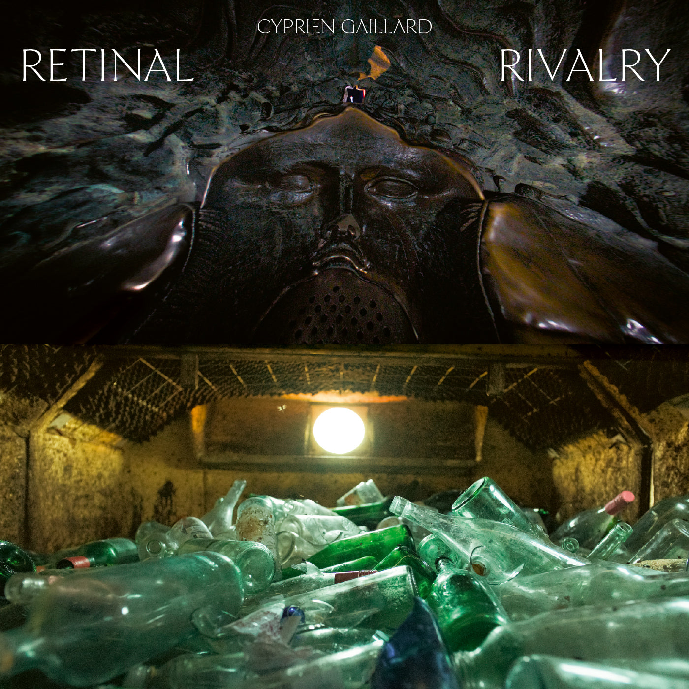 Retinal Rivalry