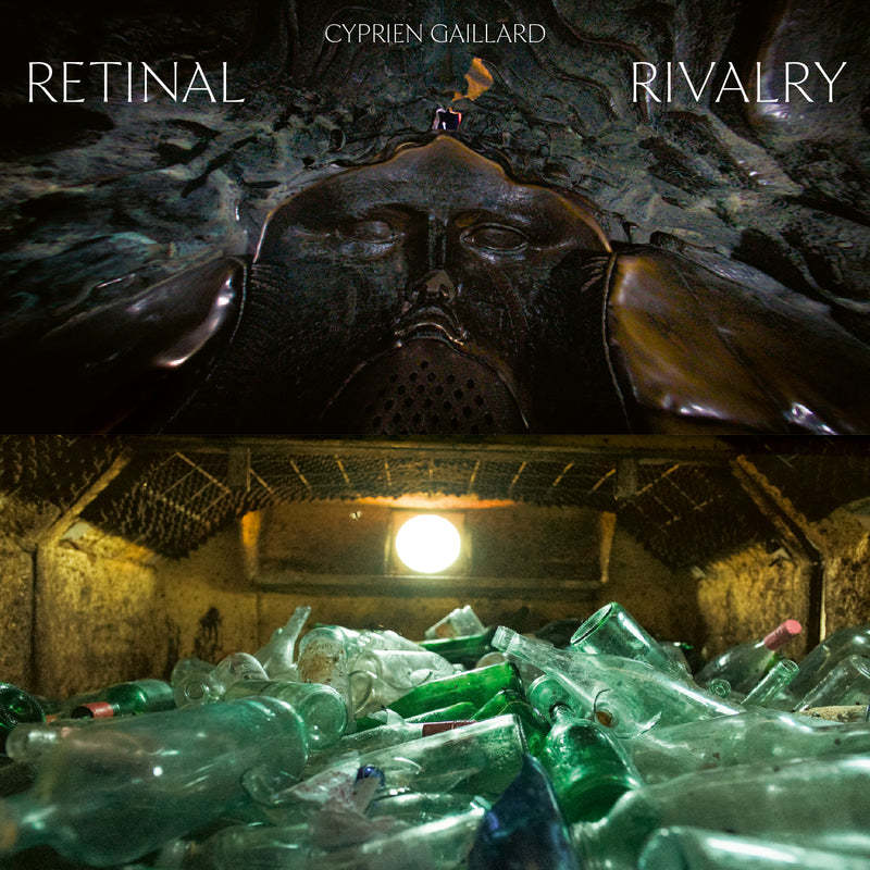 Retinal Rivalry
