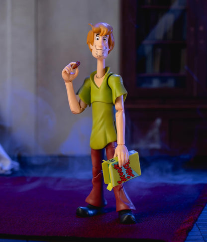 SCOOBY-DOO SHAGGY 6 INCH DELUXE FIGURE