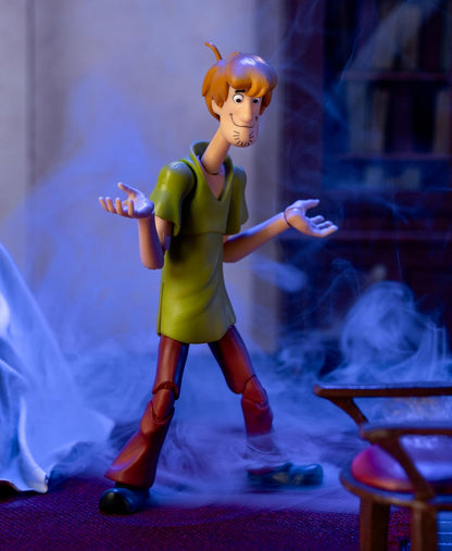 SCOOBY-DOO SHAGGY 6 INCH DELUXE FIGURE