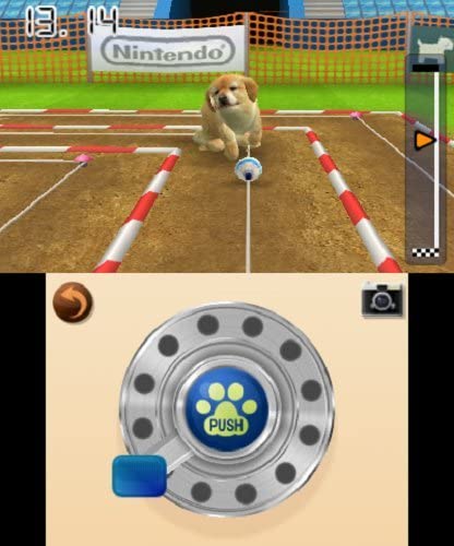 Dogs And Cats: Toy Poodle & New Friends Cats (Nintendo Ds