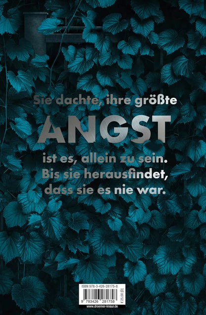 Der Nachbar: Psychothriller