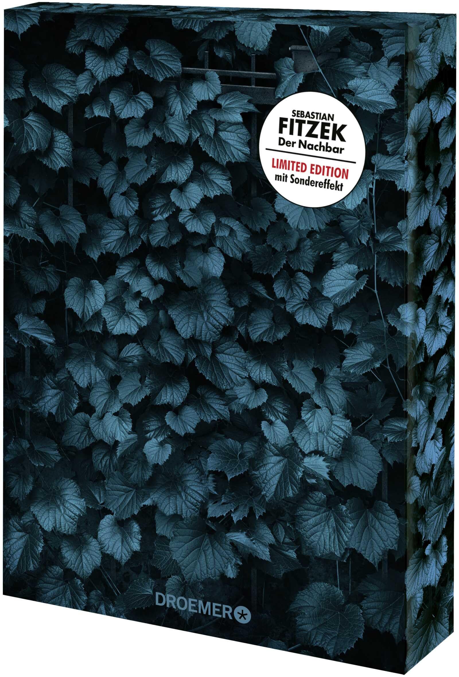 Der Nachbar: Psychothriller