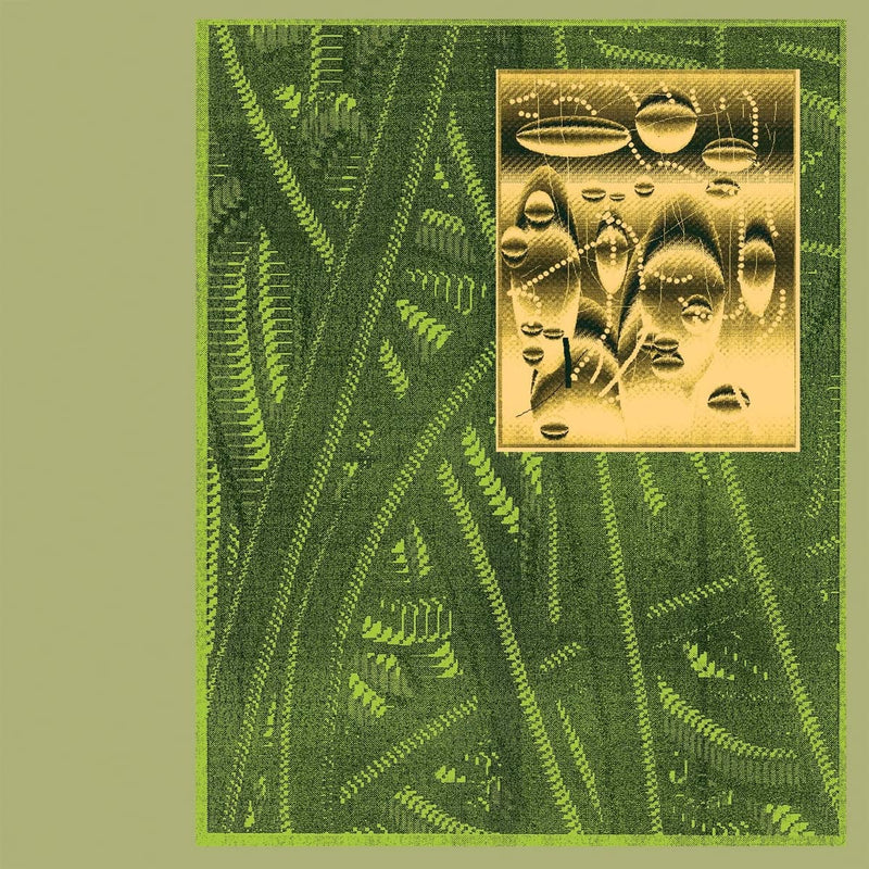 De Beren Gieren - Less Is Endless (2 Lp)
