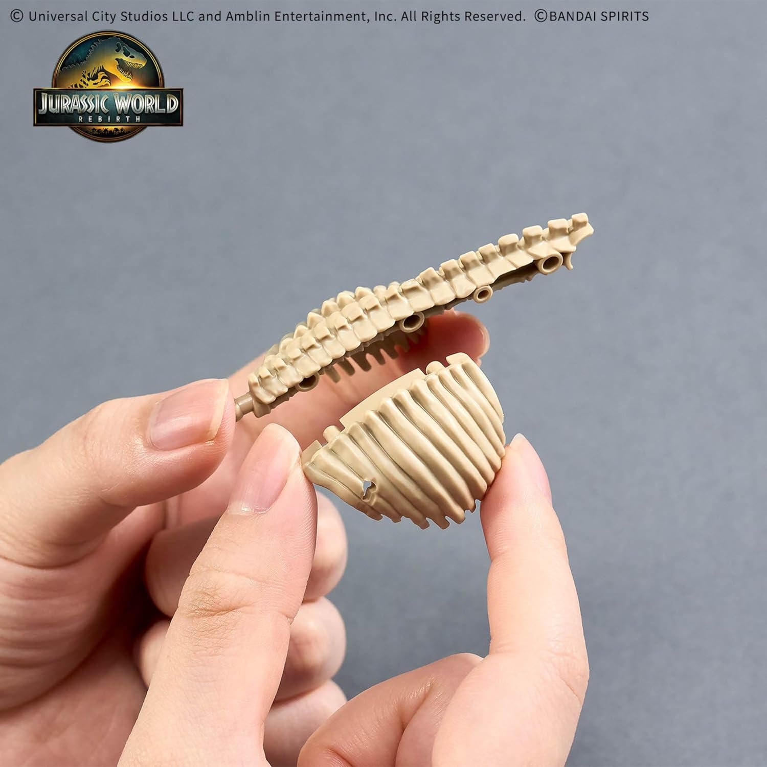 Bandai Hobby | Plannosaurus Jurassic World T. Rex Model Kit | Official Bandai Dinosaur Figure | Easy Snap‑Fit Assembly, No Glue or Paint Required