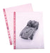 Favorit Buste Perforate, Lucide, Alto Spessore, 22 x 30 cm, 25 Pezzi, Trasparenti color Rosa pastello con Banda Colorata in Tinta