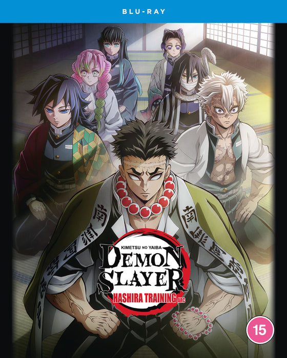 Demon Slayer: Kimetsu No Yaiba - Hashira Training Arc