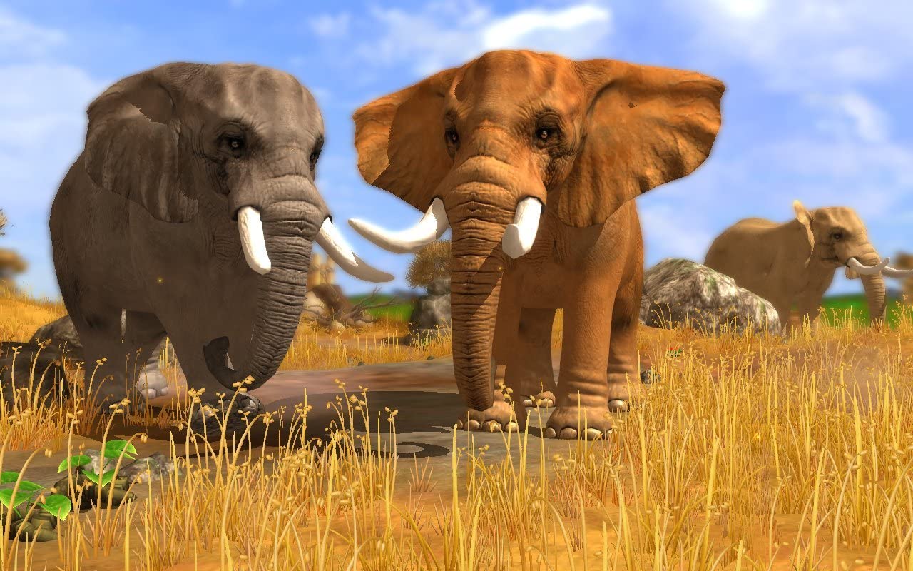 Wildlife Park 3 (PC DVD
