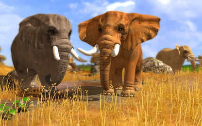 Wildlife Park 3 (PC DVD