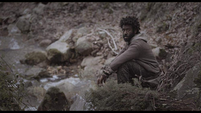 The last of us
