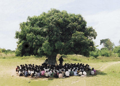 ABC africa
