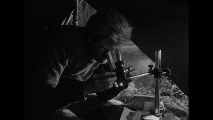 La lettre inachevée