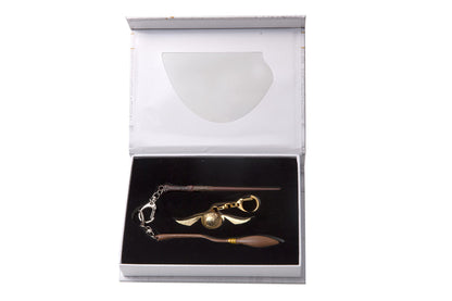 Harry Potter HP8350 Keychain, Multi-Colour
