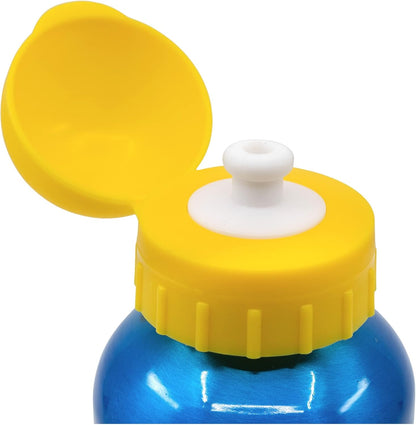Stor 530ML KIDS ALUMINIUM BOTTLE | PAW PATROL PUP POWER