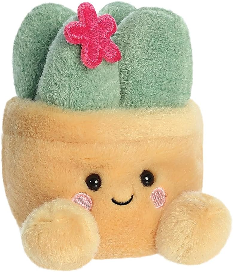 Palm Pals Seyla Succulent 5In Oct