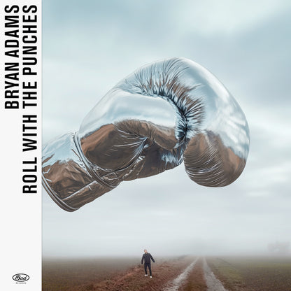Roll With the Punches (Deluxe Edition)