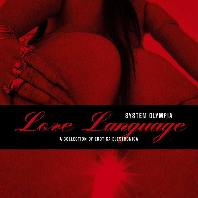 Love Language: A Collection of Erotica Electronica