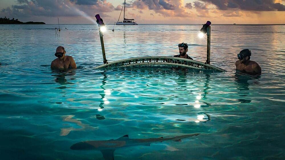 700 Requins Dans La Nuit/Blu-Ray