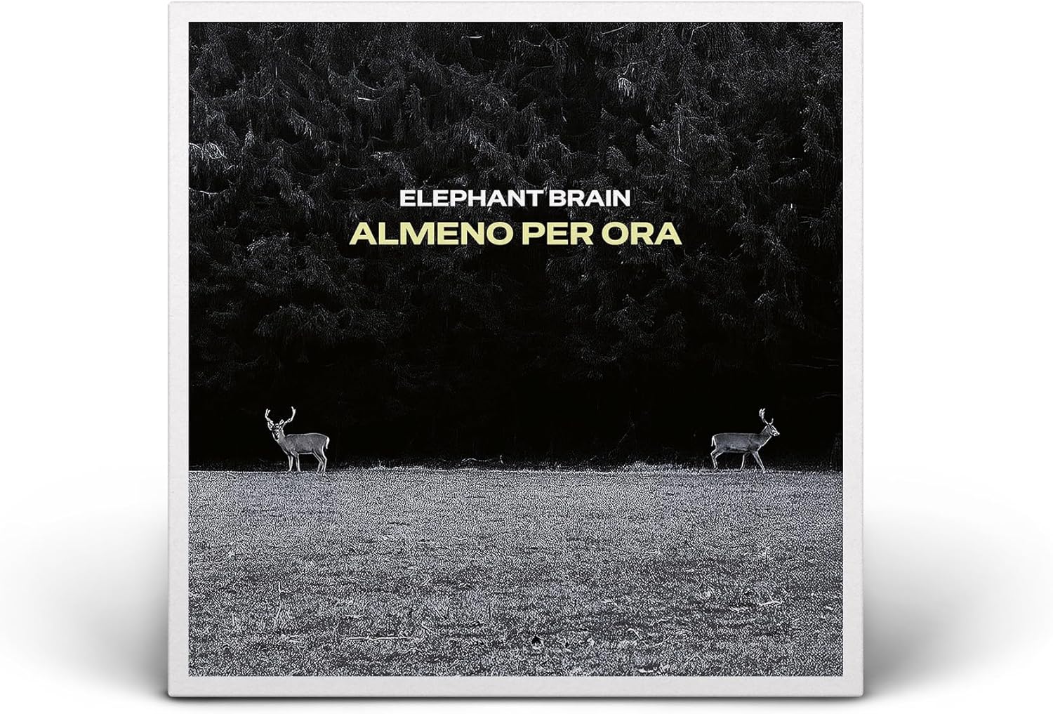 ALMENO PER ORA