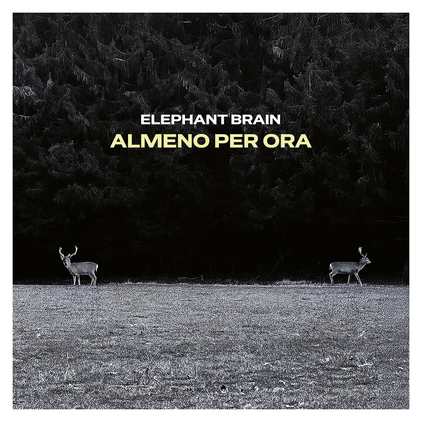 ALMENO PER ORA