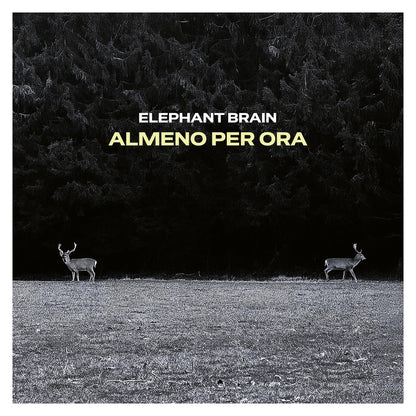 ALMENO PER ORA