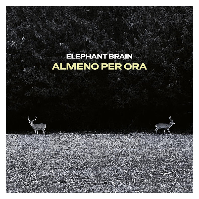 ALMENO PER ORA