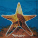 Xylem Tube EP