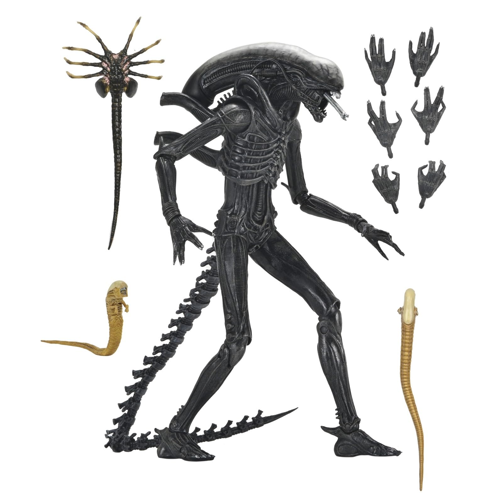 Ultimate Xenomorph xx121 Scale Action Figure 18 cm Alien: Romulus