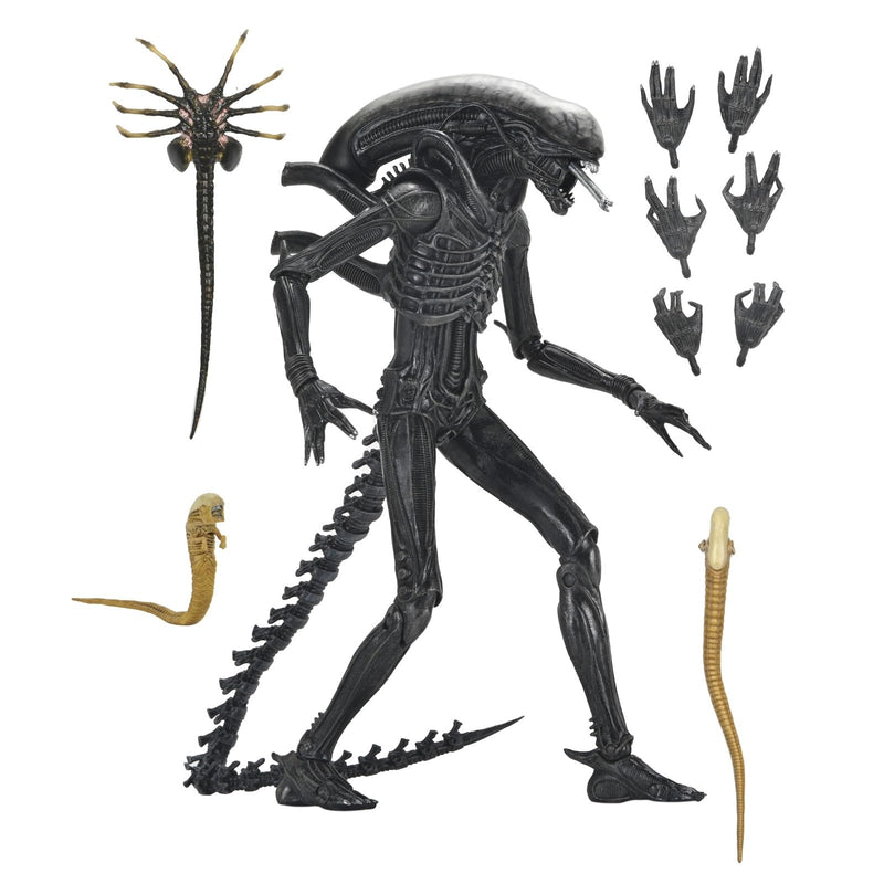 Ultimate Xenomorph xx121 Scale Action Figure 18 cm Alien: Romulus