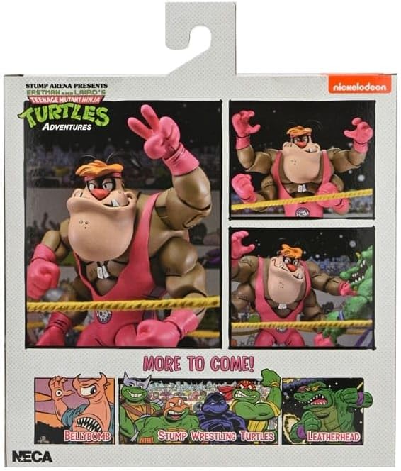 NECA Stump Arena TMNT Adventures Cryin' Houn'