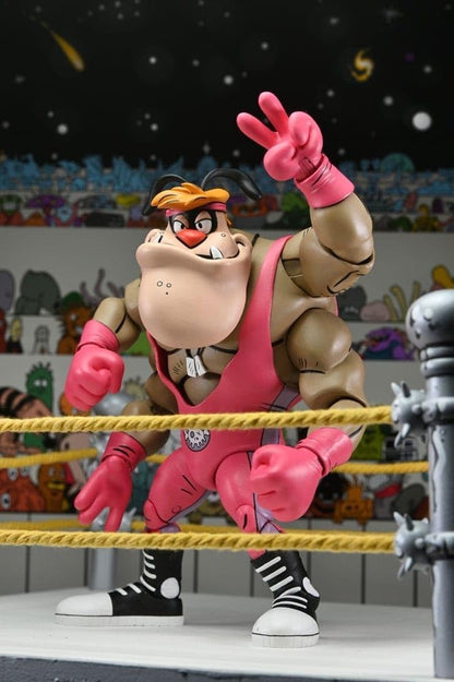 NECA Stump Arena TMNT Adventures Cryin' Houn'