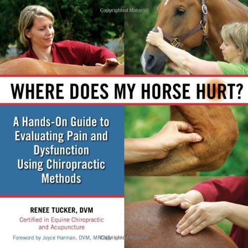 Where Does My Horse Hurt?