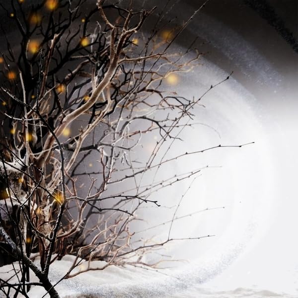 Lp-Winterlight-Winterlight