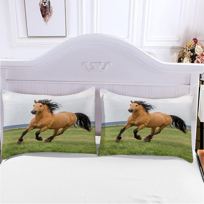 ERGON Selle SR Allroad Pro Homme M/L