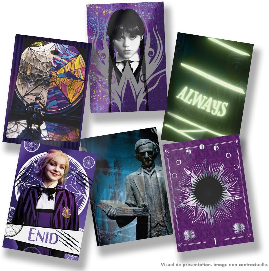 Wednesday Trading Cards Flow Pack Box (2
