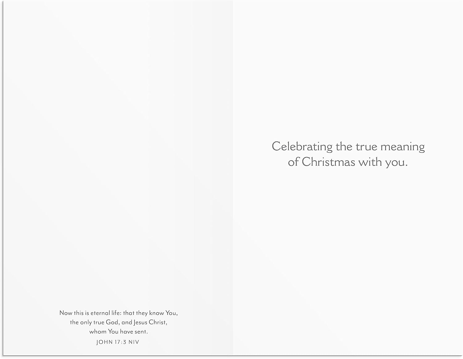 Christmas Boxed Cards: Only Jesus (Pack Of 18)