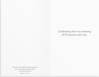 Christmas Boxed Cards: Only Jesus (Pack Of 18)