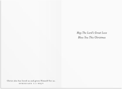 DaySpring - Jesus He Came Not to a Throne- 18 Christmas Boxed Cards, NKJV