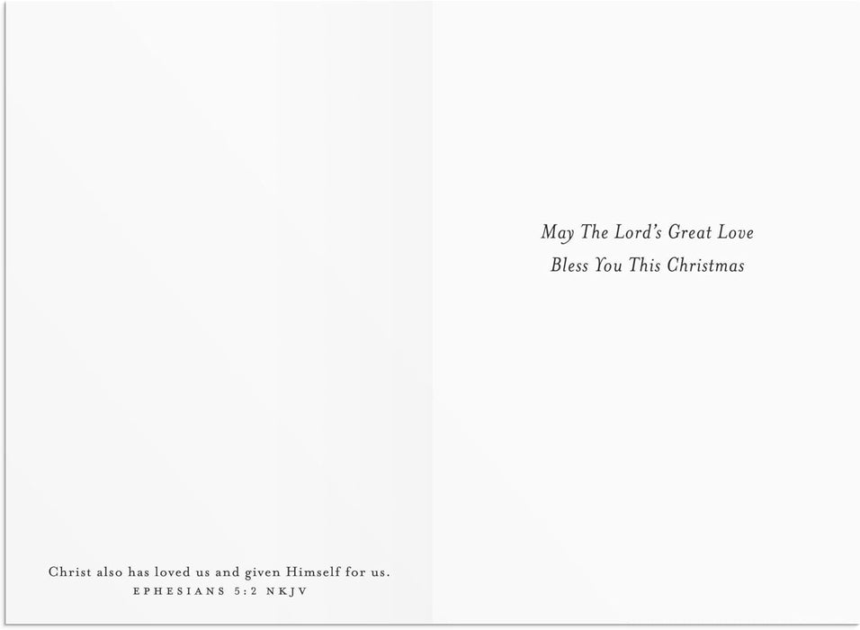 DaySpring - Jesus He Came Not to a Throne- 18 Christmas Boxed Cards, NKJV