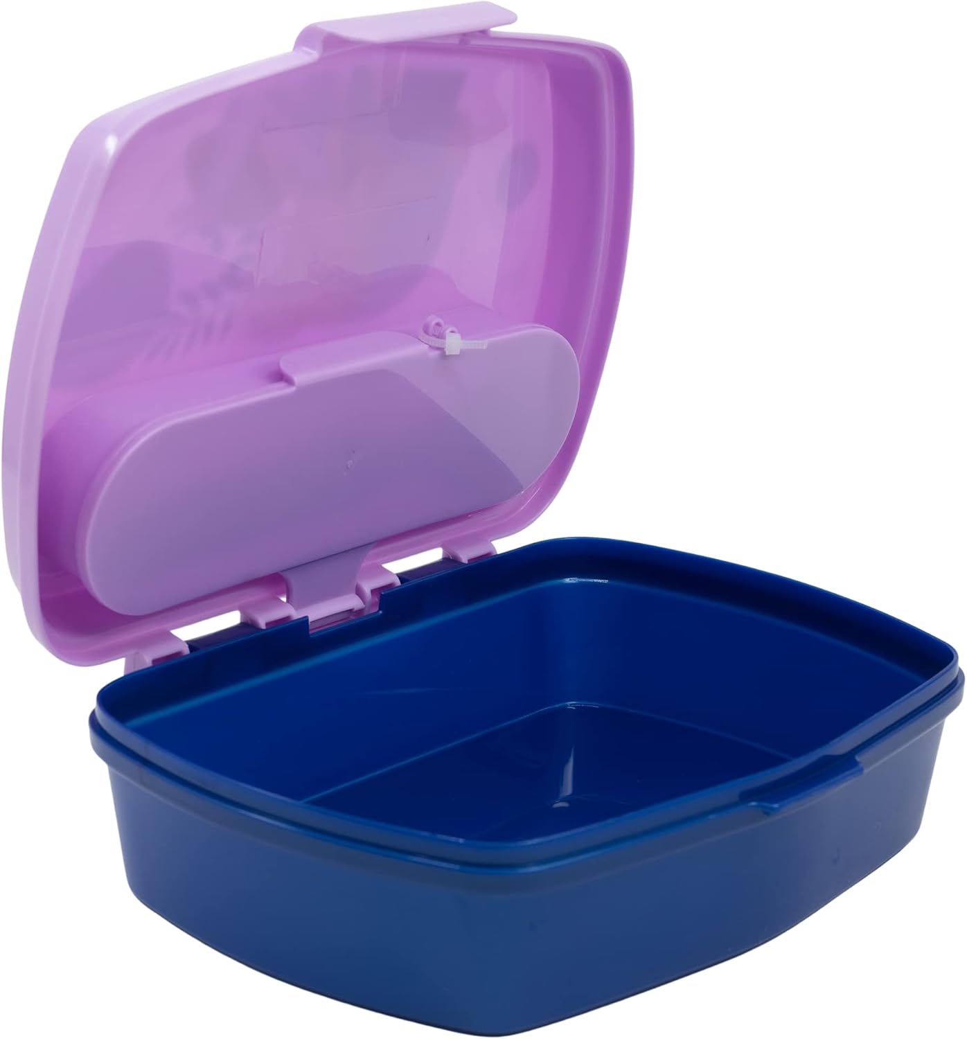 Stor: Disney: Frozen Trust The Journey - Funny Sandwich Box With Cutlery (74209)