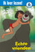 Big Balloon - AVI - Disney Jungle Book Echte vrienden