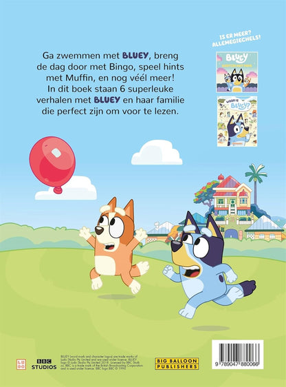 Big Balloon - Dubbeldik Verhalenboek