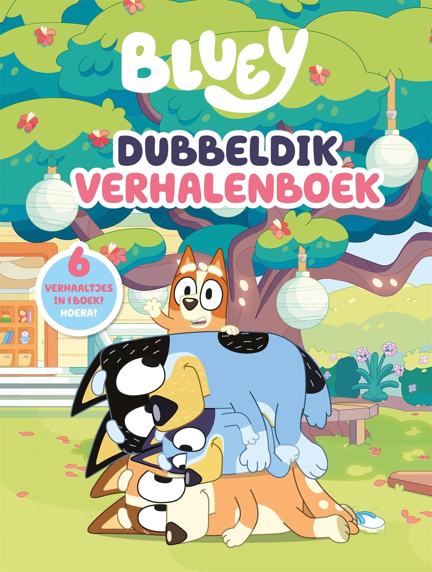 Big Balloon - Dubbeldik Verhalenboek